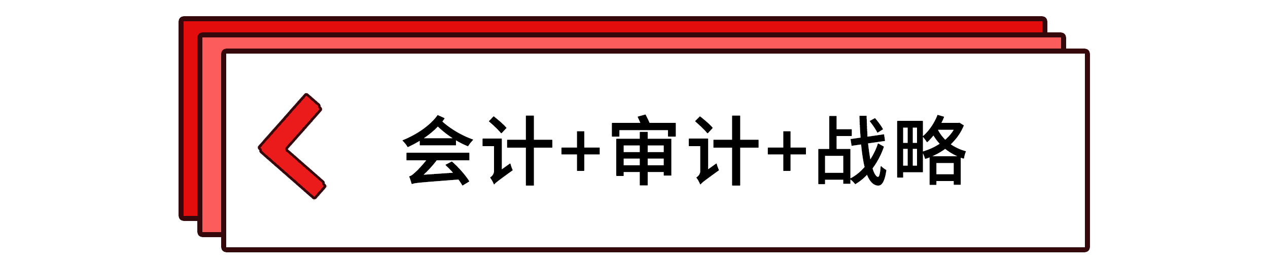 会计+审计+战略