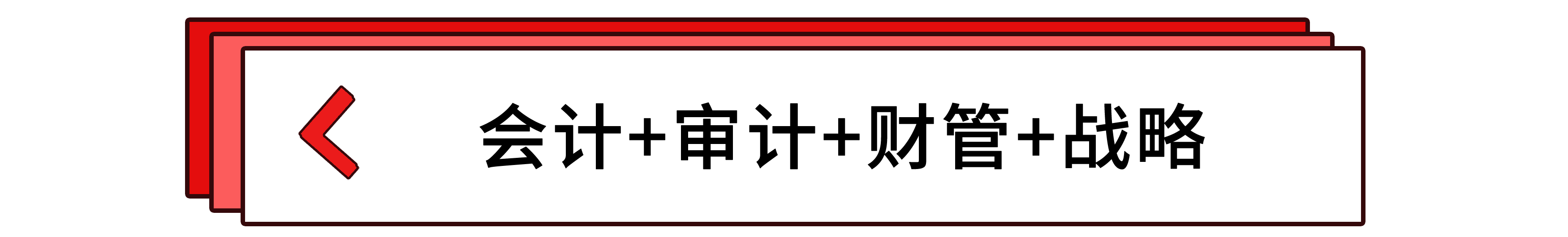 会计+审计+财管+战略