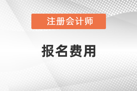 北京市延庆县注册会计师考试报名费用是多少