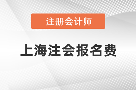 上海市黄浦区注会一科报名费是多少钱