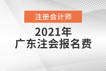 2021注册会计师报名费