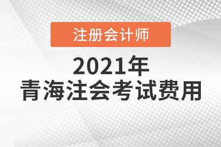 2021年青海省黄南注会考试费用多少钱