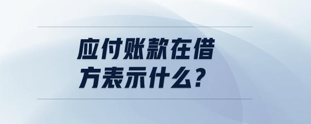 应付账款在借方表示什么