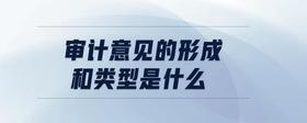 审计意见的形成和类型是什么