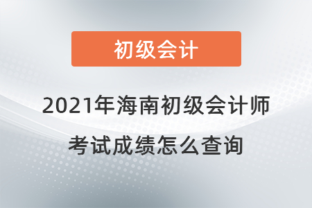 2021年海南省定安县初级会计师考试成绩怎么查询