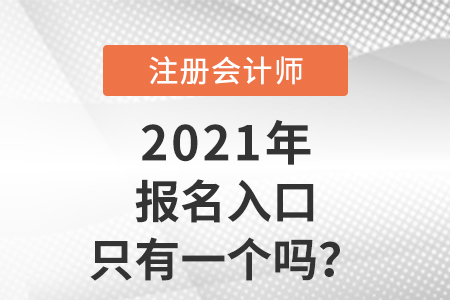 cpa考试报名入口只有一个吗