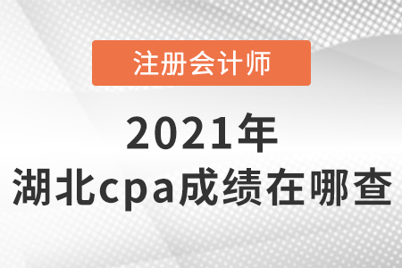 湖北省随州cpa成绩在哪查