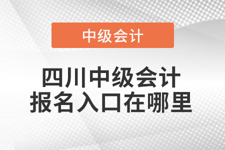 四川省雅安中级会计报名入口在哪里