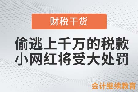 偷逃上千万的税款？小网红将受大处罚！