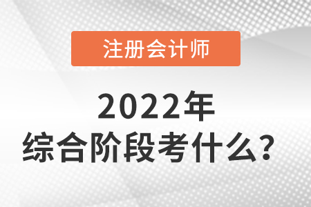 2022年注册会计师综合阶段考试考什么？