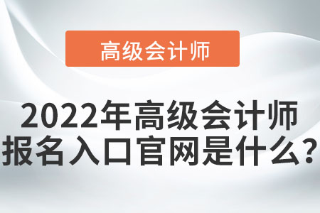 2022年高级会计师考试报名入口只有一个吗？