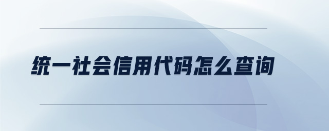 统一社会信用代码怎么查询