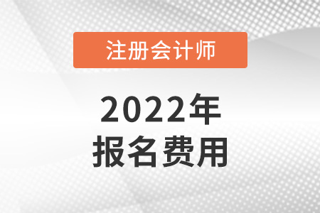 安徽省池州注册会计师报名费用是多少？