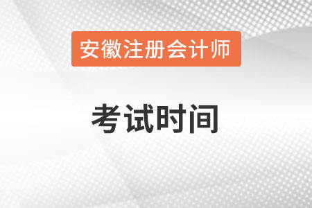 安徽省马鞍山注册会计师考试时间在什么时候？