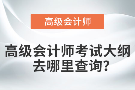 高级会计师考试大纲去哪里查询？