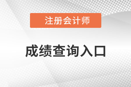 广东省阳江cpa成绩查询入口官网？