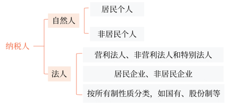 纳税人有两种基本形式：自然人和法人