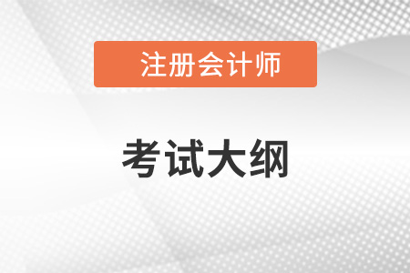 2022年注会大纲变化大吗？