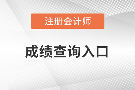 山东cpa成绩查询入口官网在哪里？