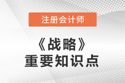 2022年注会战略重要知识点：风险管理技术与方法