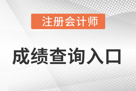 四川cpa成绩查询入口怎么进