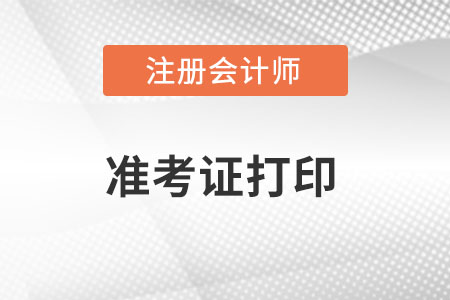 广西自治区玉林注册会计师准考证打印入口在哪里？