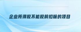 企业所得税不能税前扣除的项目