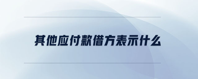 其他应付款借方表示什么