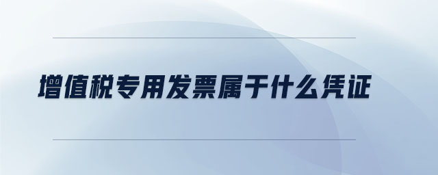 增值税专用发票属于什么凭证