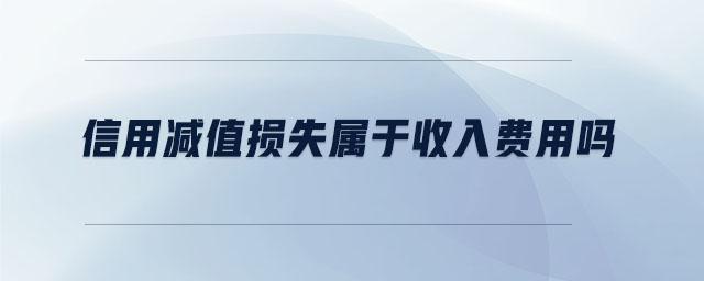 信用减值损失属于收入费用吗