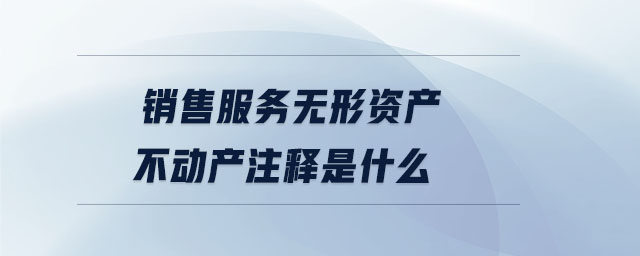 销售服务无形资产不动产注释是什么