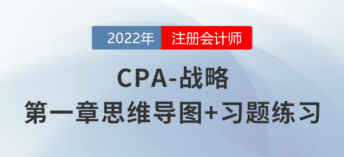 2022年注会《战略》第一章思维导图+章节练习