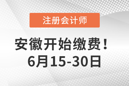 2023年安徽省淮北地区注会报名费用是多少？点击完成交费！