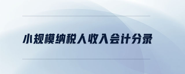 小规模纳税人收入会计分录