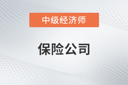 保险公司_2022中级经济师金融备考知识点