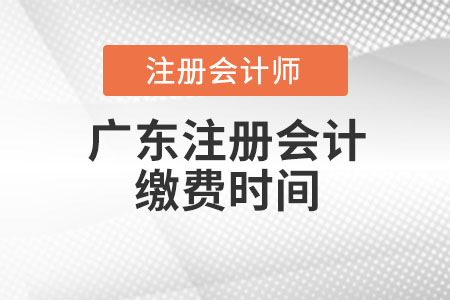 广东省佛山注册会计缴费时间