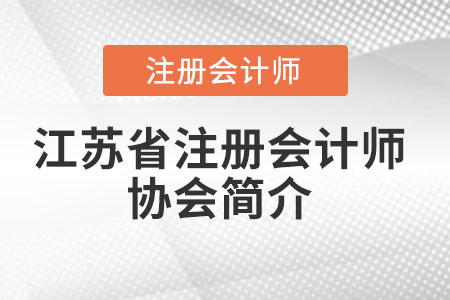 江苏省南京注册会计师协会简介