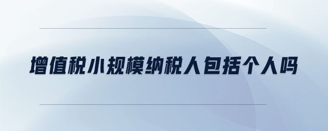 增值税小规模纳税人包括个人吗