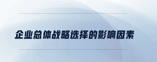 企业总体战略选择的影响因素