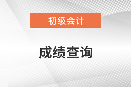 初级会计成绩查询流程是什么？