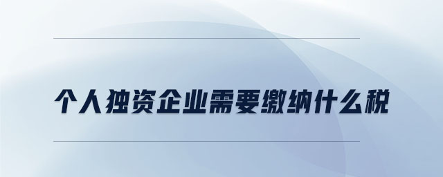 个人独资企业需要缴纳什么税