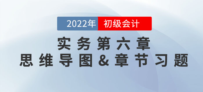 2022年《初级会计实务》第六章思维导图+章节练习