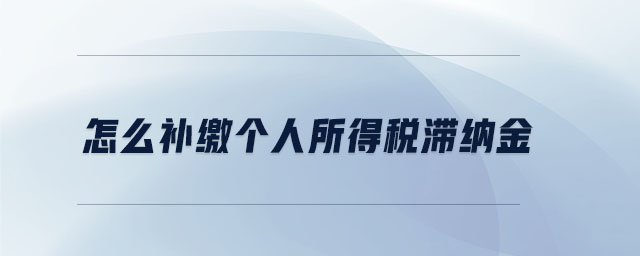 怎么补缴个人所得税滞纳金