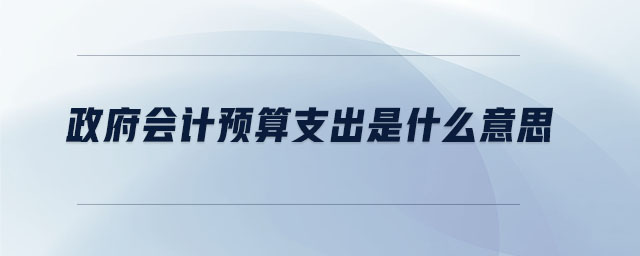 政府会计预算支出是什么意思