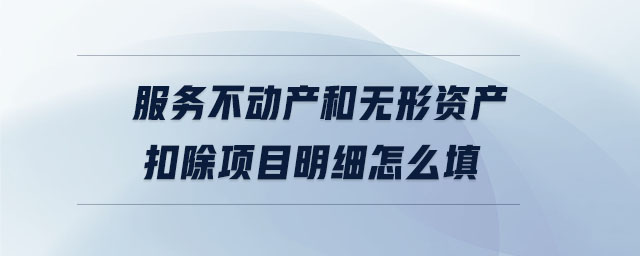 服务不动产和无形资产扣除项目明细怎么填