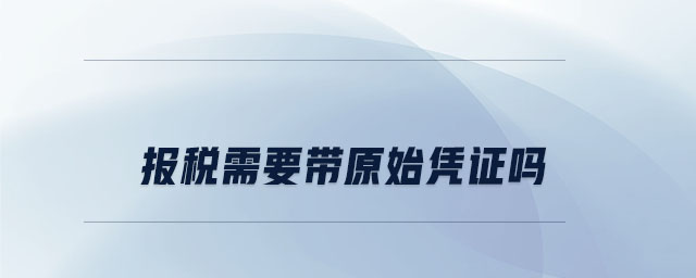 报税需要带原始凭证吗