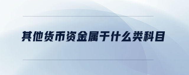 其他货币资金属于什么类科目