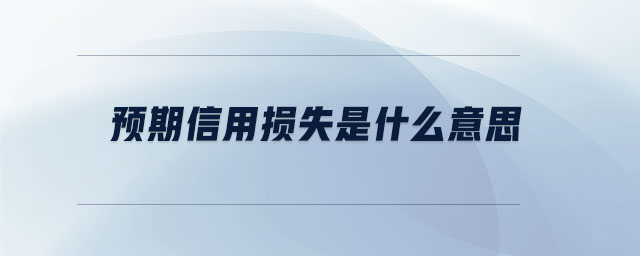 预期信用损失是什么意思