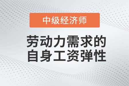 劳动力需求的自身工资弹性_2022中级经济师人力资源知识点