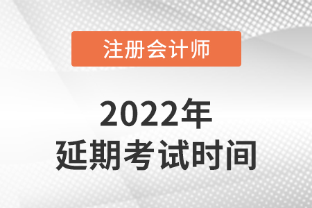 2022年注会延考考试时间公布了吗？